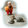 Jongen met landschildpadden